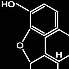 FABIEN SENSE & MARKUS GIBB - Morphine (Original mix)