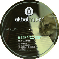 Be An Example EP - Wildkats & Tboy - Akbal Music