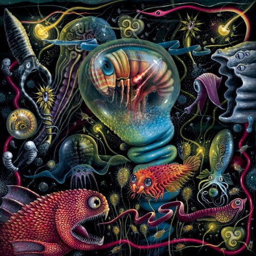 Kacid - Confusing  Patterns (Mastered by Komfuzius) http://www.ektoplazm.com/free-music/sideffect