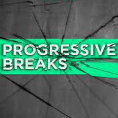 DJ Flys X1 - Progressive Breaks - spa (DJ Set Mix)