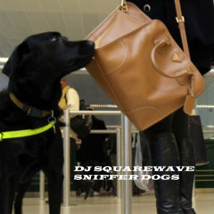 DJ SQUAREWAVE - SNIFFER DOGS