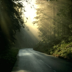 Early Morning Symphony - Orchestral Composition