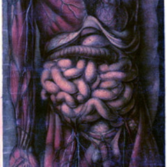 Navid Navab- Alchemy of Food (from cooking to shitting)