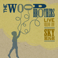 The Wood Brothers - Payday (live)