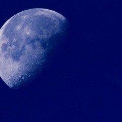 Blue Moon Of Kentucky by Billy Beverly