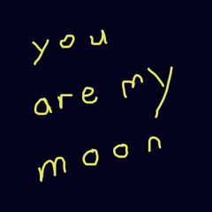 The Staple Act - You Are My Moon