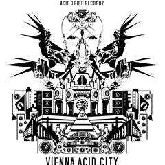 ViennaAcidCity