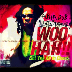 Busta Rhymes-Woo Hah!! (AlphaDub Remix)