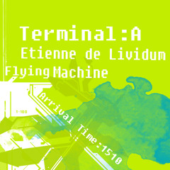 Etienne de Lividum - Flying Machine