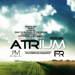 Paul Martinez & Fiddler - Atrium (Amnesty! & BluBird NewHope Remix)