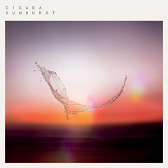 Cicada - 'Don't Stare At The Sun'