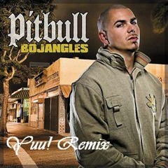 Pitbull - Bojangles (Yuu! Remix)