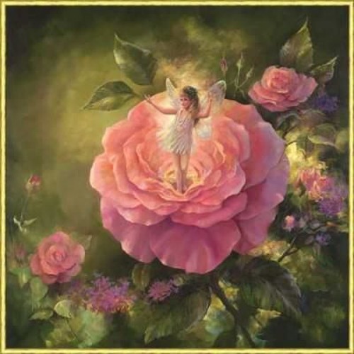 تقدیم به گروه موسیقی بی کلام و تصویر