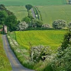 Mae'r Ddaear yn Glasu