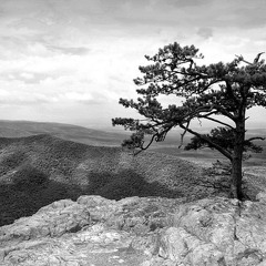 Untitled  (Stairwell Session)