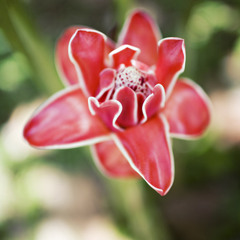 the air you breathe in