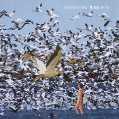 Du fugl, bare flyv feat. Andreas Odbjerg(We Are)