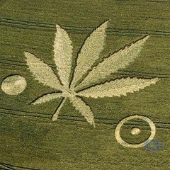 Comunicado U.F.O Cumbiero 2012 (Grabacion encontrada en un crop circle)