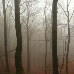 David Crowley - "Fear Of The Unknown" - Experimental stuff