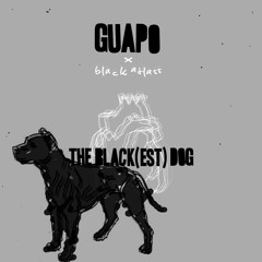 black dog