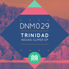 DNM029 Trinidad - Indian Summer EP (DubNoir Music)