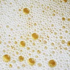 You, me and a bottle of champagne (STBB #265)