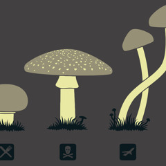 Vandale - Bass Aerobic