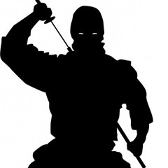 Ninja attack