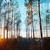 Artwork for When light resists to arrive [mixtape]