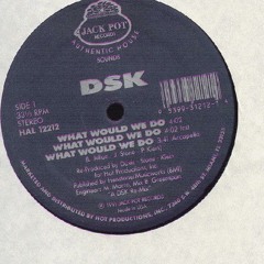 DSK- What Would We Do (Ind. Stan Mix)