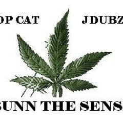 Top Cat Bunn The Sensi ... Jdubz ( HipHop Ah Do It Mix )