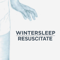 Favourite Songs from Frightened Rabbit / Wintersleep