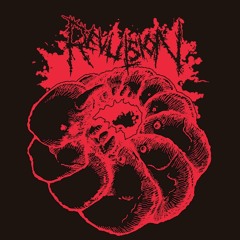 Galvanized Steel Wire Prison