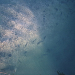 Don't Let It Happen To You