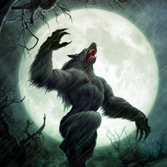 Alan Wilkis - Wolfman