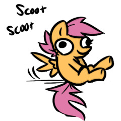 Scootaloo!!