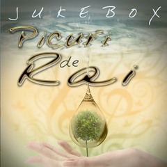 JukeBox - One Love