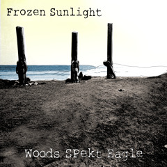 billy woods - Frozen Sunlight ft. Open Mike Eagle & MarQ Spekt