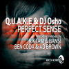 quake-vs-dj-osho-perfect-sense-riktam-bansi-remix-echoes-records-q-u-a-k-e