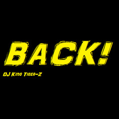 Bring It Back UP! - DJ King Tiger-Z
