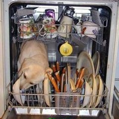 Why do new dishwashers suck?