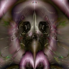 Insectize (OUT ON TYCHO RECORDS)