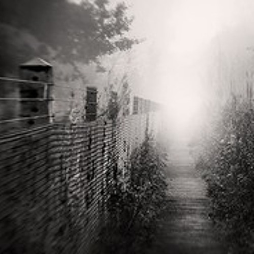 Cold Entity - Forgotten Paths