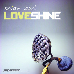Brian Seed-"Loveshine" (teaser)