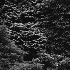 Sipp - CF 2191 (Headshotboyz Remix)