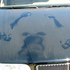 " Sie isch Diä "  FACE TSP XXX Pop Song2008