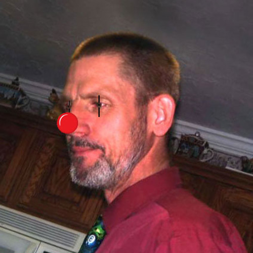 Everyone - The Luni Troupe - Blue Bus      . . . lyrics in description