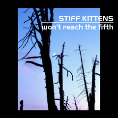 01-The Moth Collection