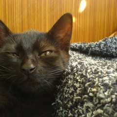 under_my_supervision (work in progress)