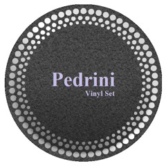DJ PEDRINI - VINIL SET